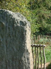 Photo /users/aendr/cheshirecat/661