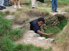 Photo /users/aendr/cheshirecat/686