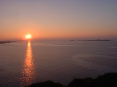 Photo /users/aendr/cheshirecat/694