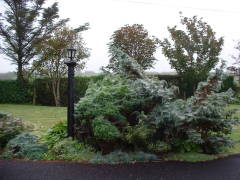 Photo /users/aendr/cheshirecat/699