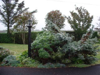 Photo /users/aendr/cheshirecat/699