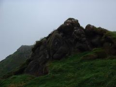 Photo /users/aendr/cheshirecat/702