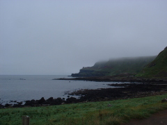 Photo /users/aendr/cheshirecat/703