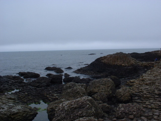 Photo /users/aendr/cheshirecat/704