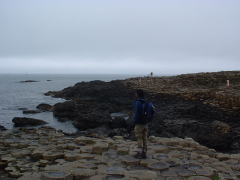 Photo /users/aendr/cheshirecat/707