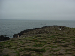 Photo /users/aendr/cheshirecat/713