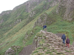 Photo /users/aendr/cheshirecat/717