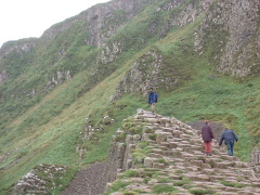 Photo /users/aendr/cheshirecat/718