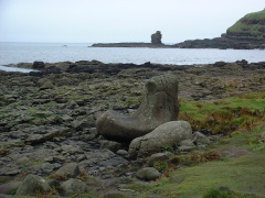 Photo /users/aendr/cheshirecat/719