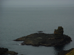 Photo /users/aendr/cheshirecat/722