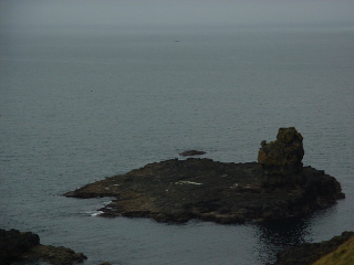 Photo /users/aendr/cheshirecat/722