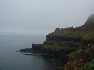 Photo /users/aendr/cheshirecat/726