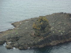 Photo /users/aendr/cheshirecat/727