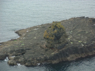 Photo /users/aendr/cheshirecat/727