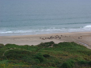 Photo /users/aendr/cheshirecat/733