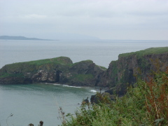 Photo /users/aendr/cheshirecat/734