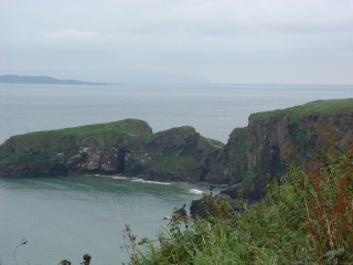 Photo /users/aendr/cheshirecat/734