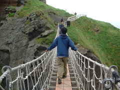 Photo /users/aendr/cheshirecat/736