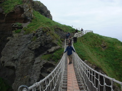 Photo /users/aendr/cheshirecat/737