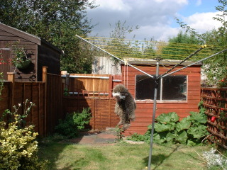 Photo /users/aendr/cheshirecat/742