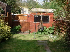 Photo /users/aendr/cheshirecat/743