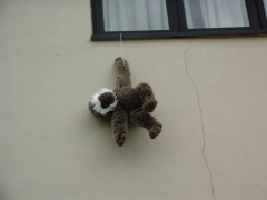 Photo /users/aendr/cheshirecat/746