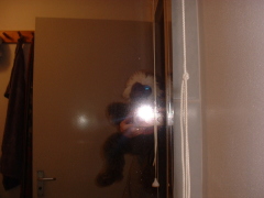 Photo /users/aendr/cheshirecat/775