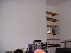 Photo /users/aendr/cheshirecat/797