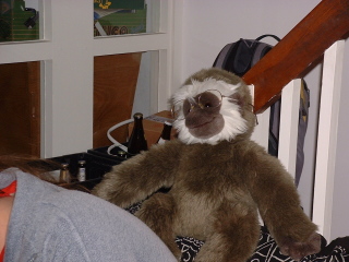 Photo /users/aendr/cheshirecat/832