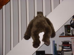 Photo /users/aendr/cheshirecat/833