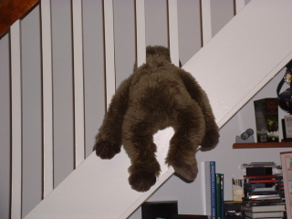 Photo /users/aendr/cheshirecat/833