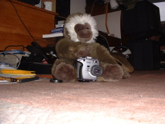 Photo /users/aendr/cheshirecat/851