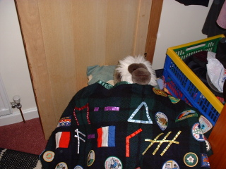 Photo /users/aendr/cheshirecat/860