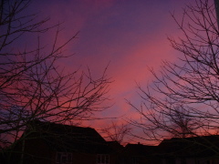 Photo /users/aendr/cheshirecat/863