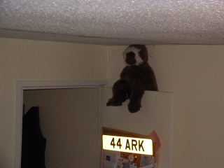 Photo /users/aendr/cheshirecat/864