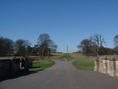 Photo /users/aendr/cheshirecat/905