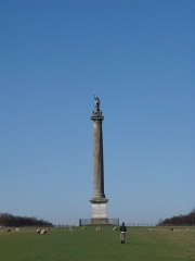 Photo /users/aendr/cheshirecat/906