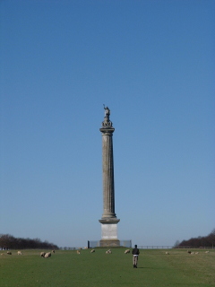 Photo /users/aendr/cheshirecat/906