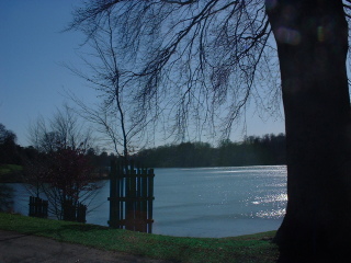 Photo /users/aendr/cheshirecat/907