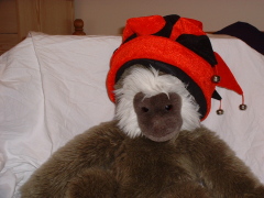 Photo /users/aendr/cheshirecat/916