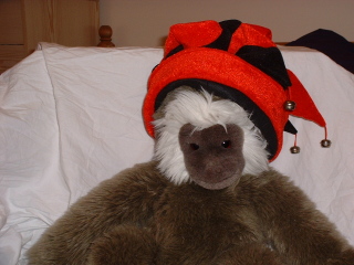 Photo /users/aendr/cheshirecat/916