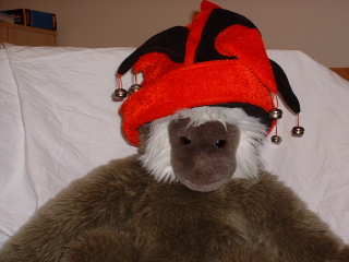 Photo /users/aendr/cheshirecat/917