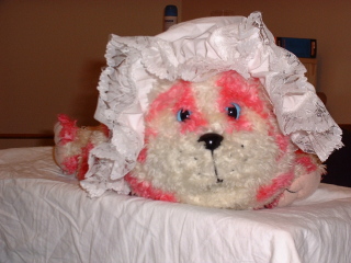 Photo /users/aendr/cheshirecat/921