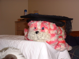 Photo /users/aendr/cheshirecat/926