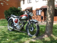 Photo /users/aendr/cheshirecat/934