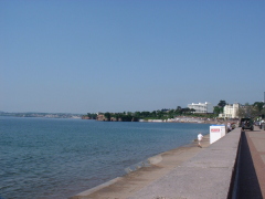 Photo /users/aendr/cheshirecat/946