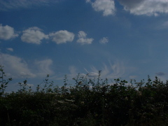 Photo /users/aendr/cheshirecat/950