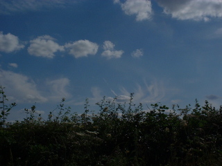 Photo /users/aendr/cheshirecat/950