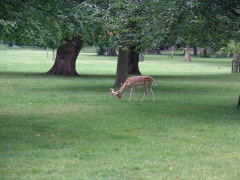 Photo /users/aendr/cheshirecat/952