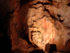 Photo /users/aendr/cheshirecat/954